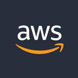 Picture of AWS logo