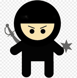 Picture of the a ninja